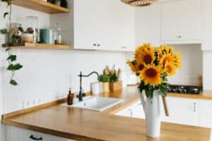 3 Ideas To Keep Your Kitchen Sustainable in A Strata Living Environment