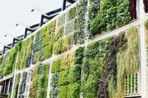 Sustainable Strata Buildings: The Benefits of a Green Vertical Wall